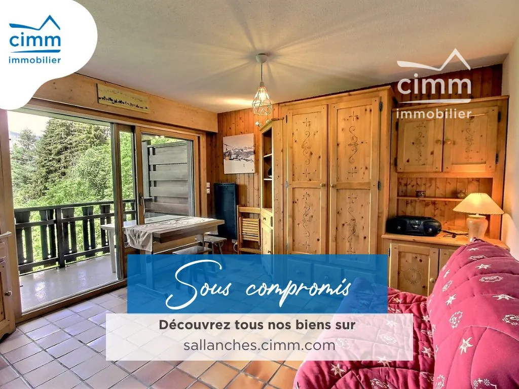 Appartement 26,39 m² avec balcon et vue imprenable aux Carroz d'Arâches