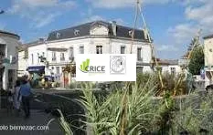 Supérette à vendre en Charente-Maritime Royan, fonds de commerce prometteur