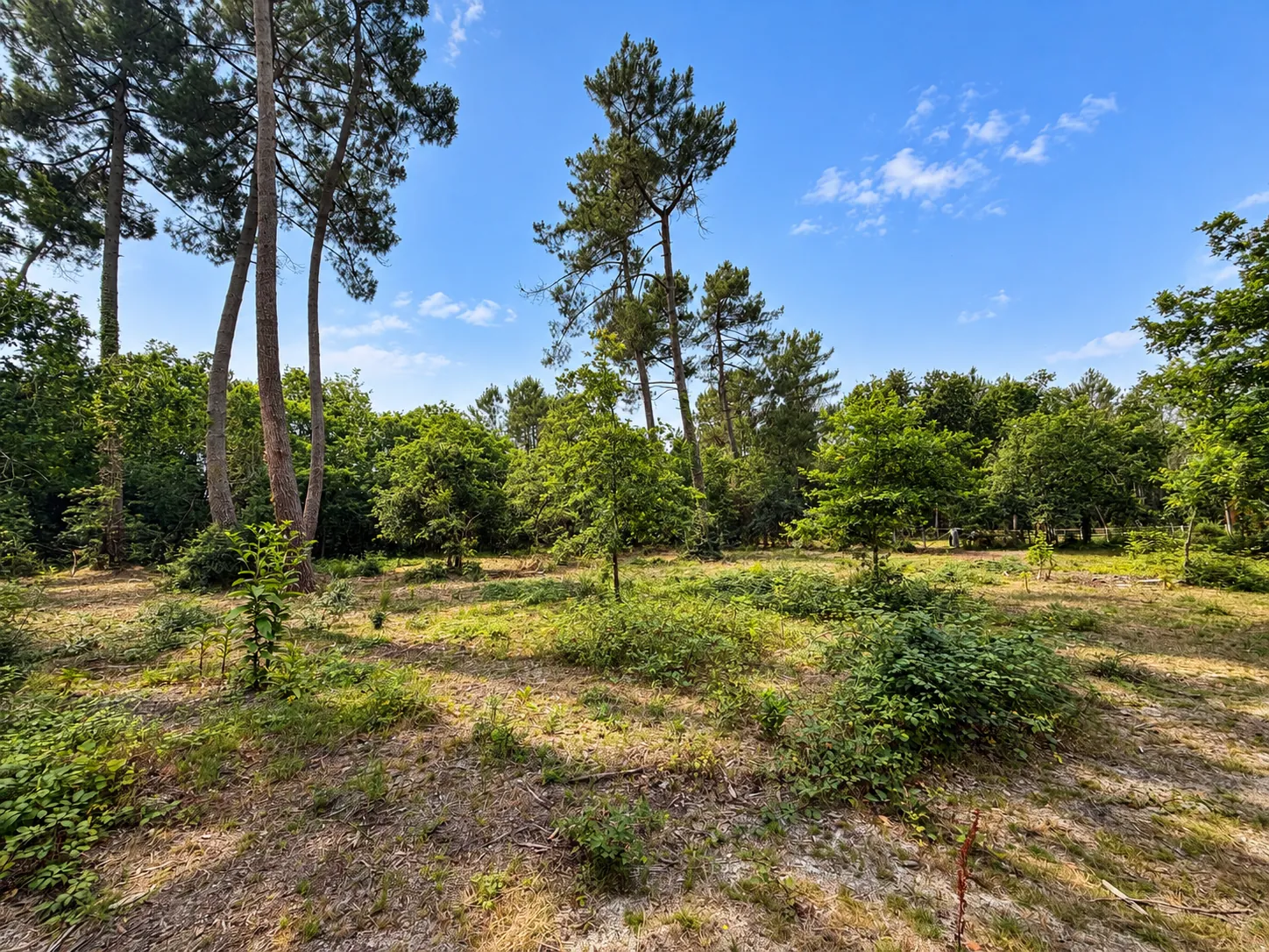 Terrain constructible de 1100 m² au Barp, proche du centre, environnement calme
