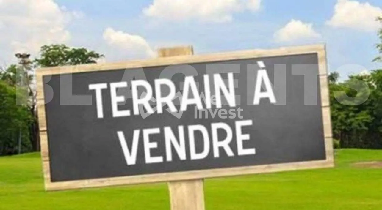 Terrain constructible viabilisé de 906 m² à Guigneville-sur-Essonne