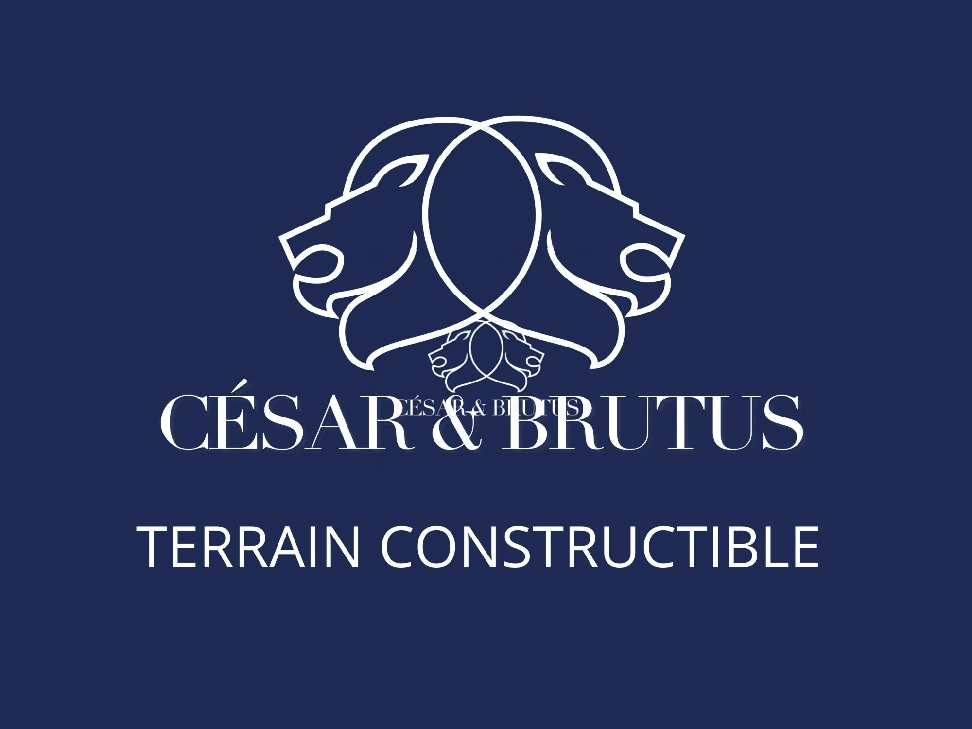 Terrain constructible viabilisé de 805 m² à Baudemont, Bourgogne