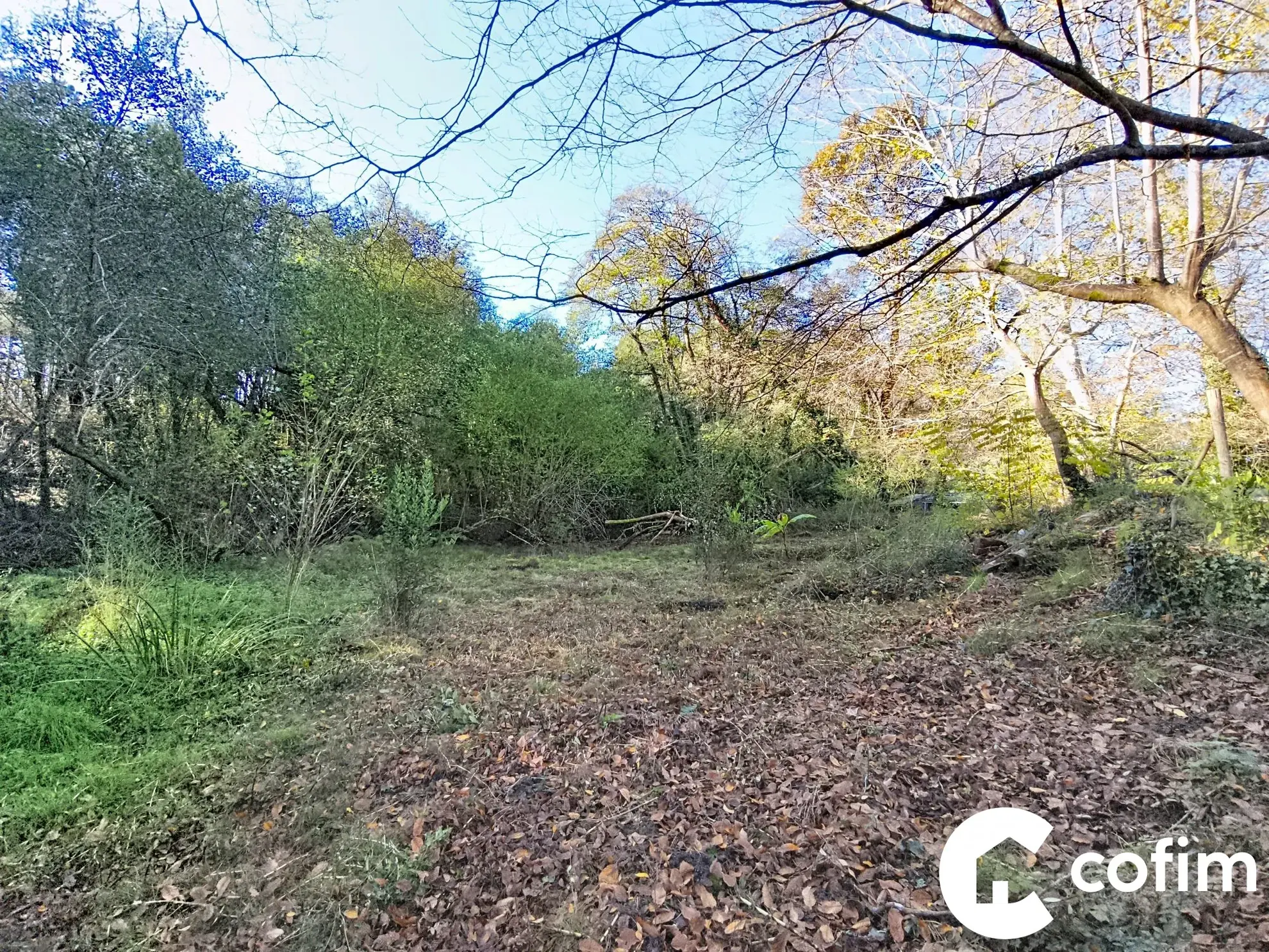 Terrain constructible de 5330 m² à Mézos, Landes, pour votre projet de construction au cœur de la nature