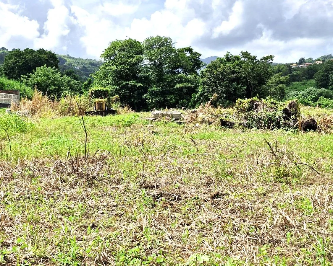Terrain constructible plat avec vue dégagée au Lorrain