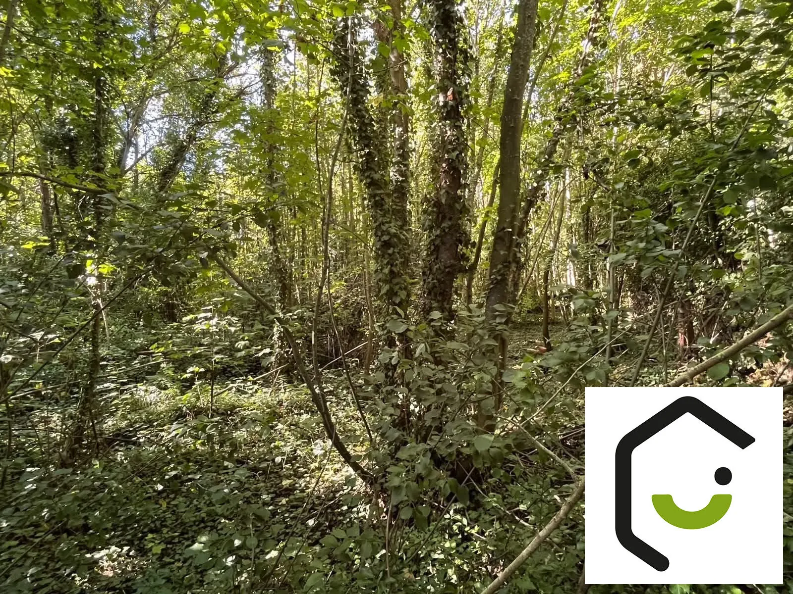 Terrain boisé à vendre à Montdidier (80) avec potentiel immobilier