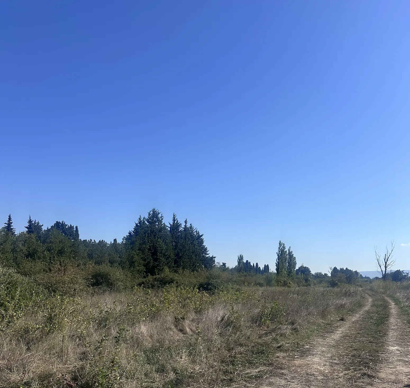 Vente de trois parcelles de terres agricoles à Mollègues – 20 128 m² non constructibles