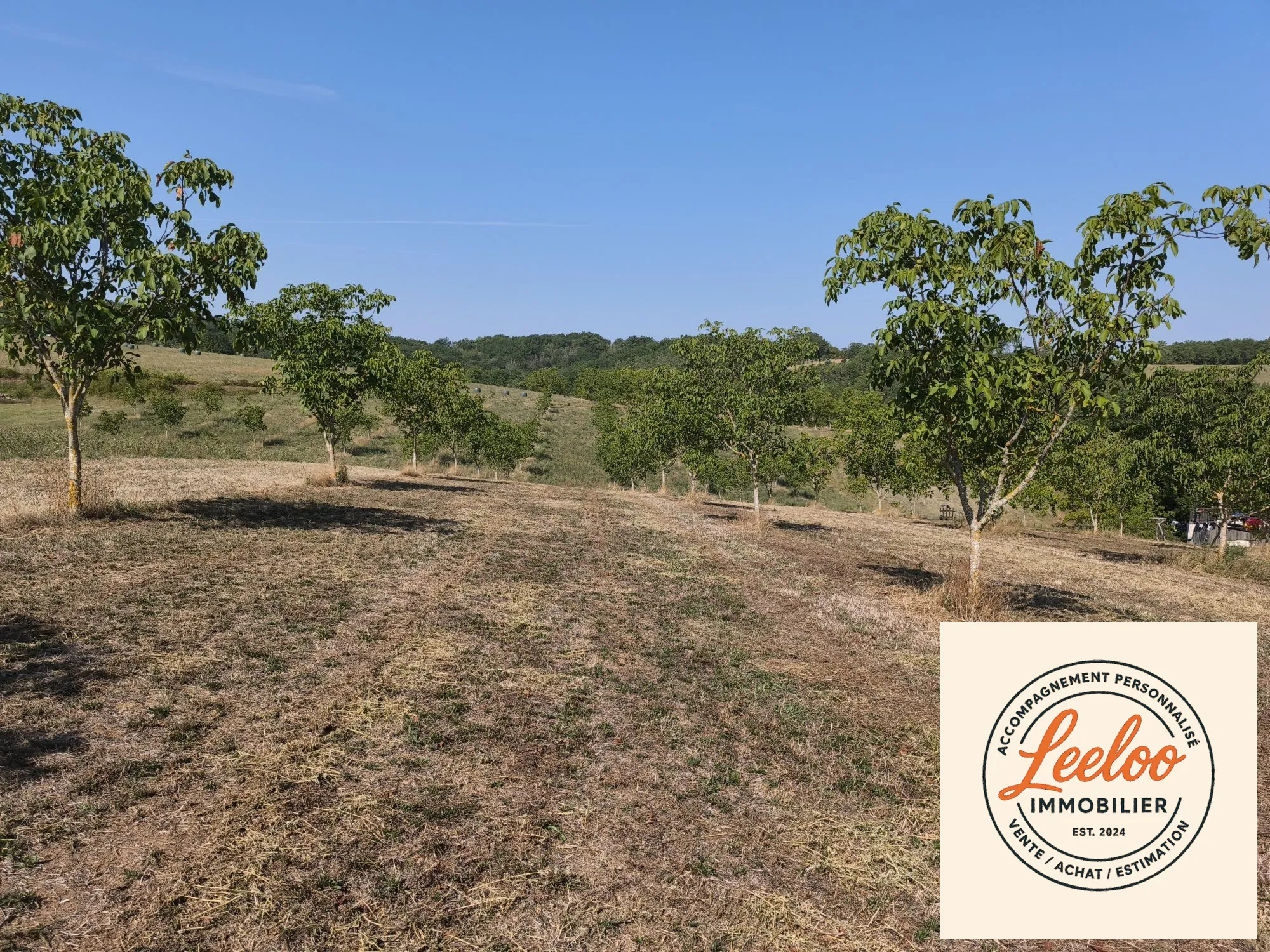 Terrain de 3593 m² avec noyers à Saint-Cybranet, Périgord Noir