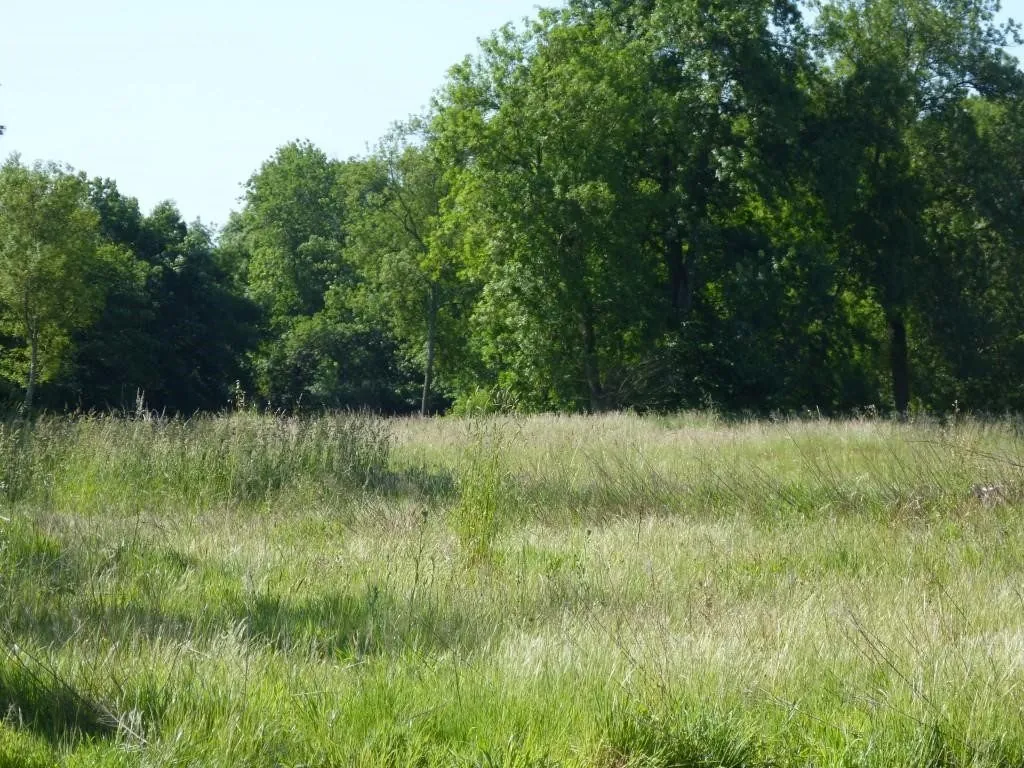 Terrain à vendre à Lailly-en-Val - Opportunité de construction avec vue campagne