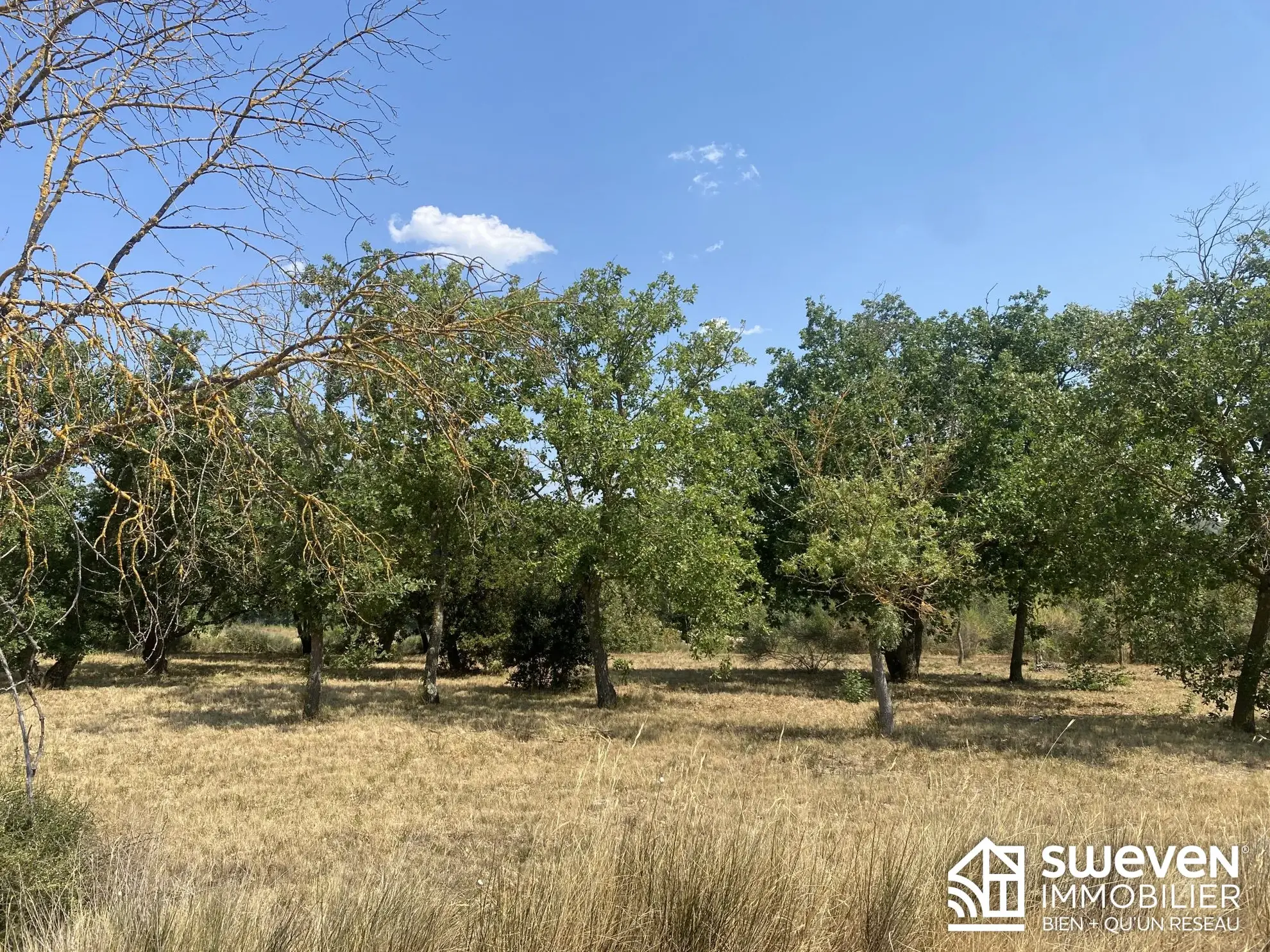 Terrain constructible de 1160 m² à Bagnoles, proche Carcassonne
