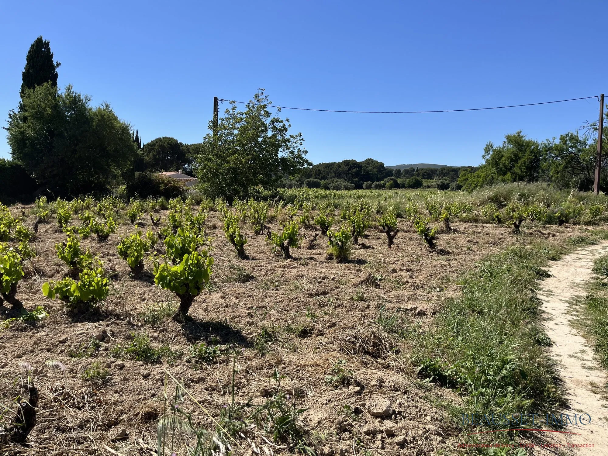 Parcelle de vignoble en appellation Bandol de 1580 m² au Brûlat du Castellet