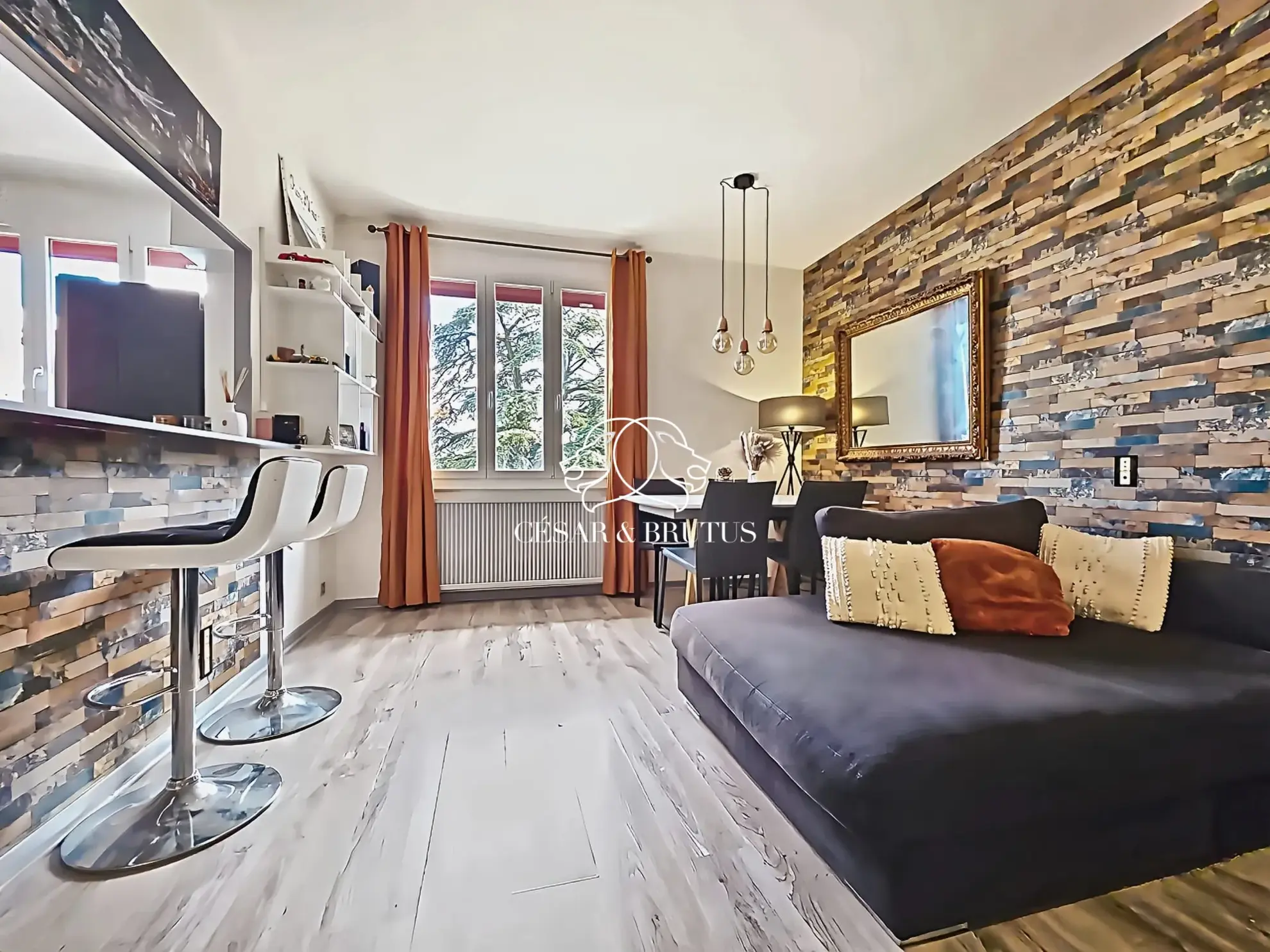 Appartement T2 rénové avec vue dégagée à Tassin-la-Demi-Lune