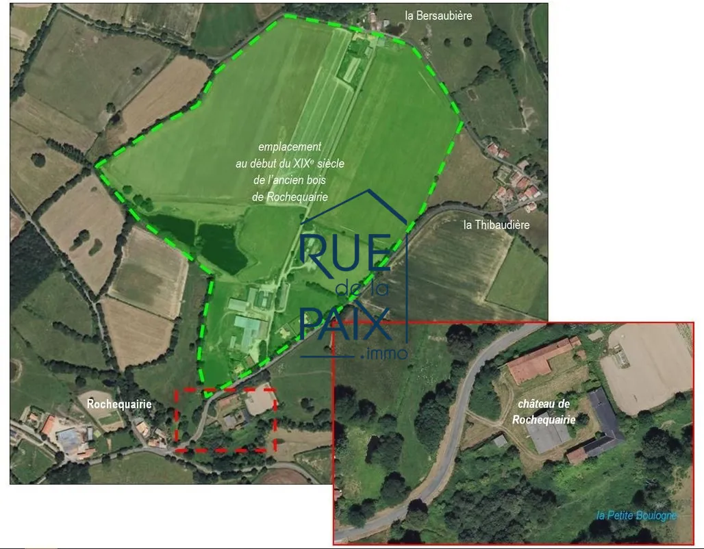 Exploitation agricole de 96ha avec château en ruines à Saint-Étienne-du-Bois