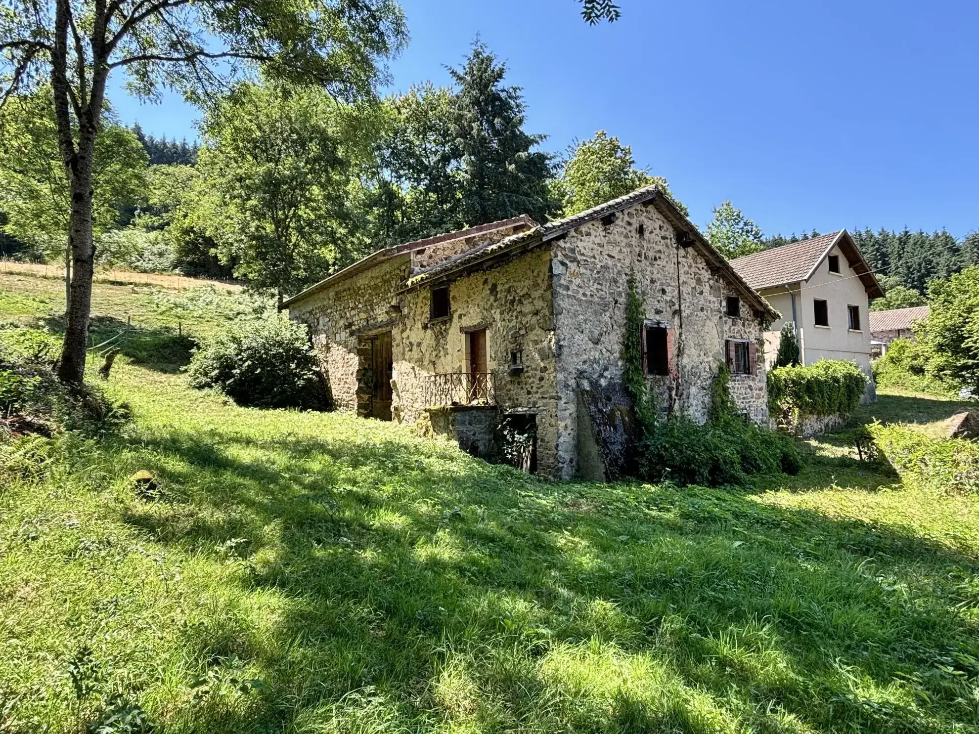 Magnifique propriété avec maison en pierre, dépendances et vue dégagée à Saint-Didier-sur-Beaujeu