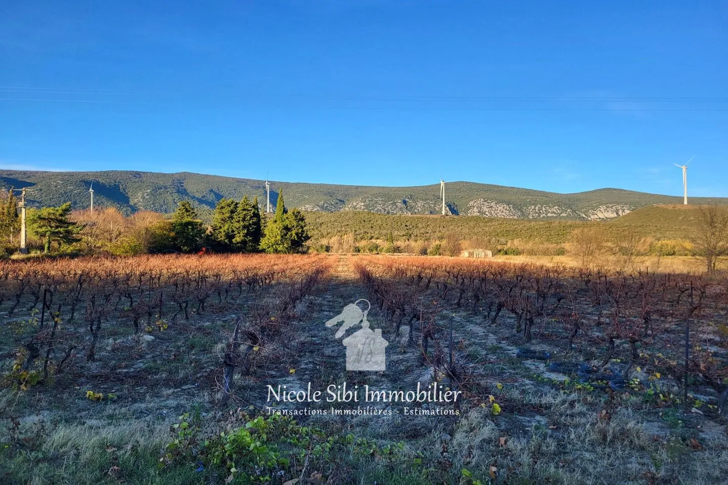 Terrain agricole à vendre à Caudiès-de-Fenouillètes - 38 451 m² idéal olivier