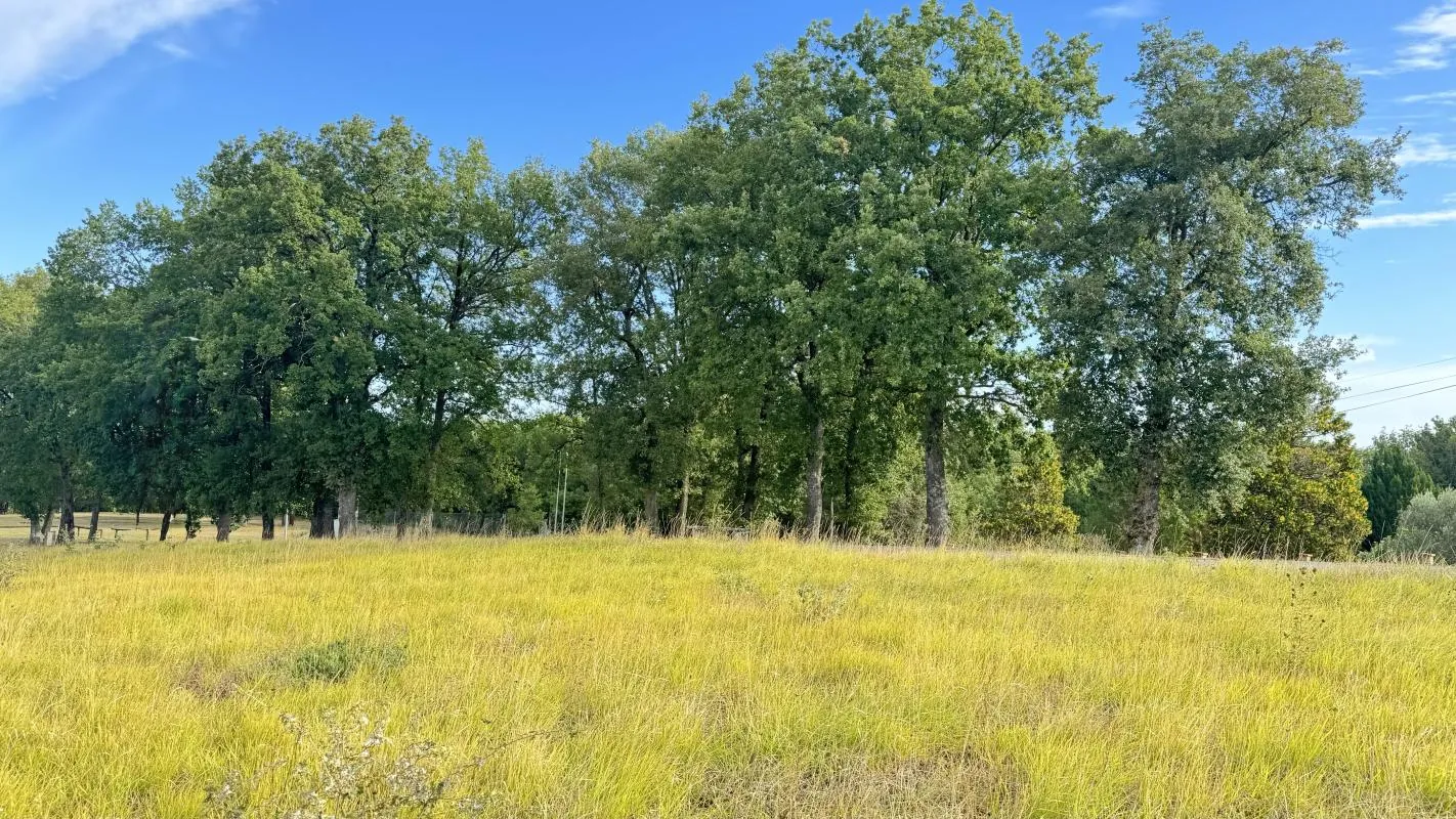 Terrain à vendre à Montjoire – 620 m², vue dégagée, viabilisé