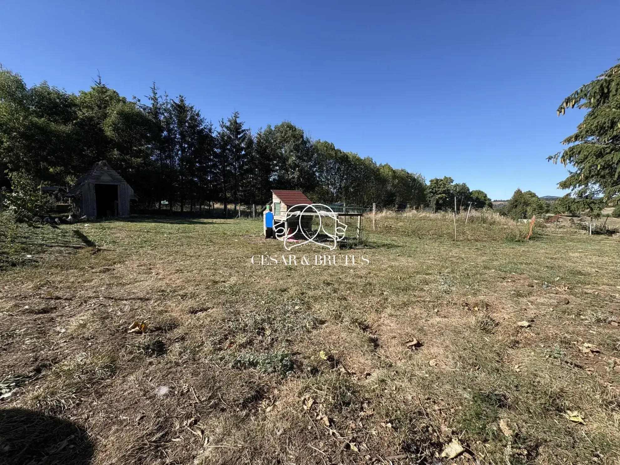 À vendre : Terrain constructible de 775 m² à Moudeyres dans un village pittoresque
