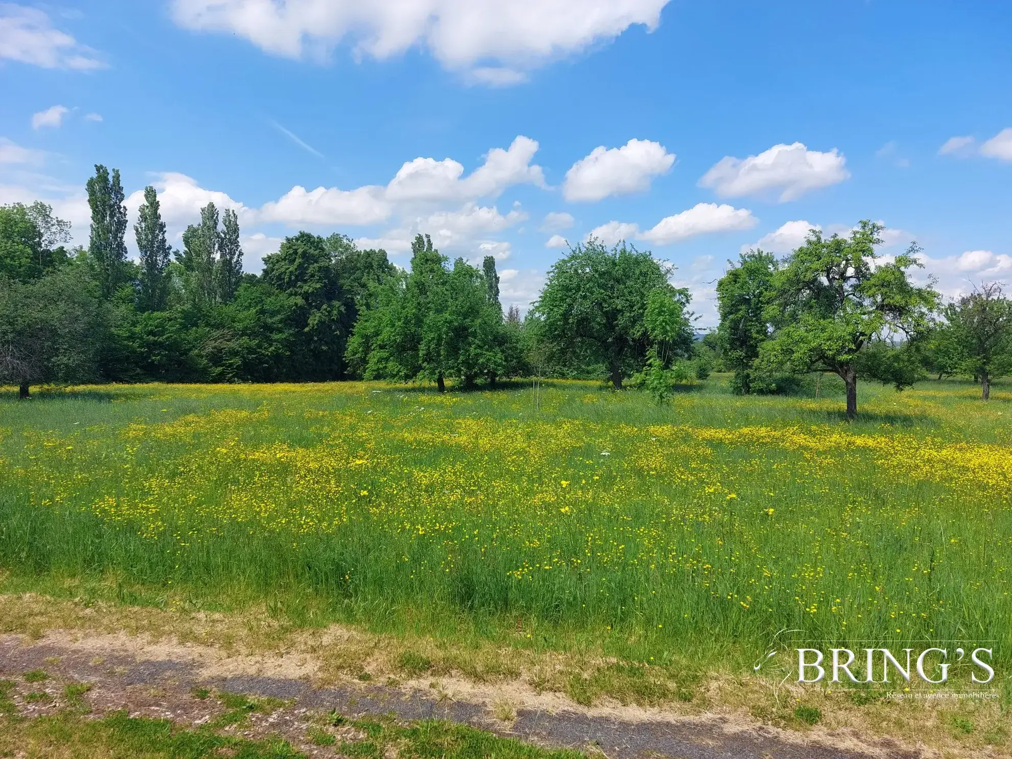 Terrains constructible à vendre à Phalsbourg - 2850 m² viabilisés