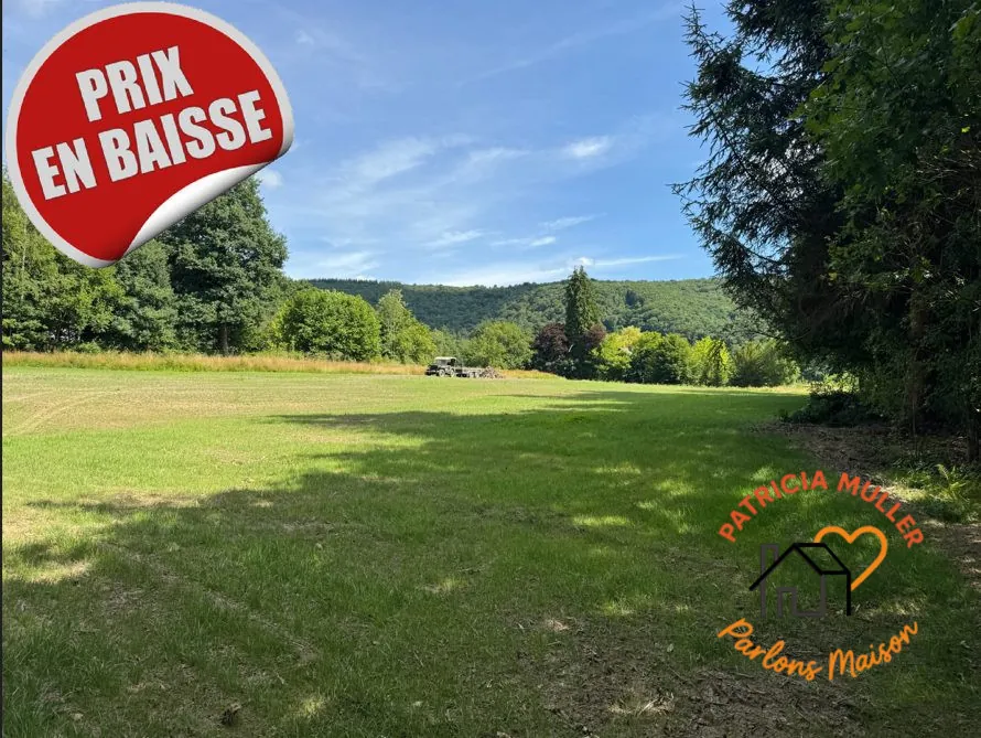 Terrain constructible de 13 451 m² à Les Hautes Rivières, environnement naturel