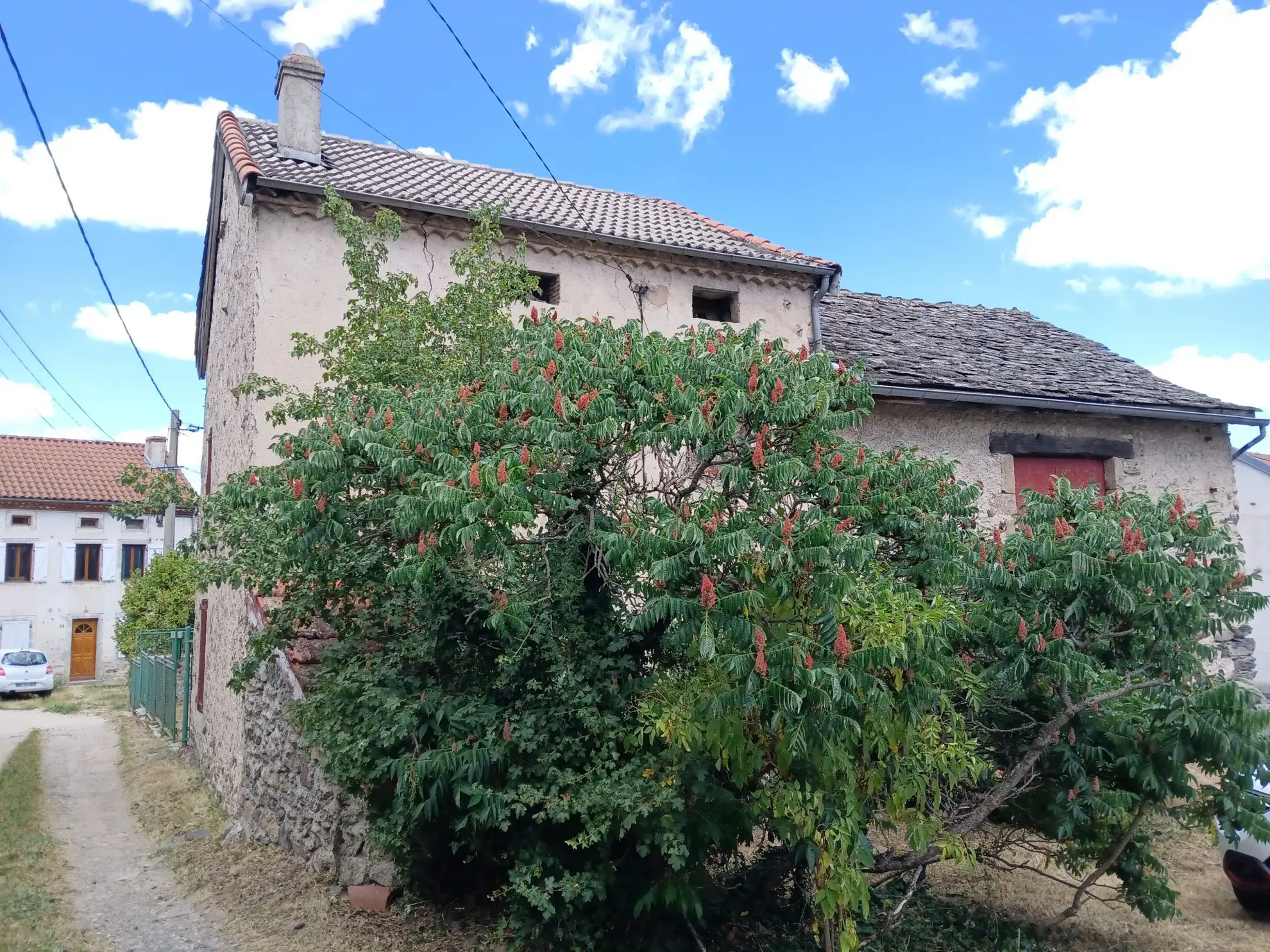 Ferme ancienne à rénover de 110m² avec grange et écurie à Retournac