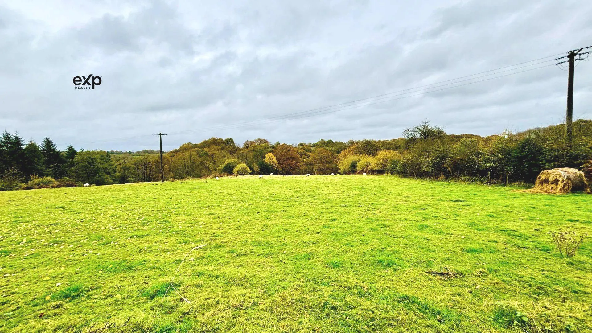 À vendre parcelle de 13 504 m² à Saint-Fraimbault-de-Prières, idéale pour usage agricole ou pâturage