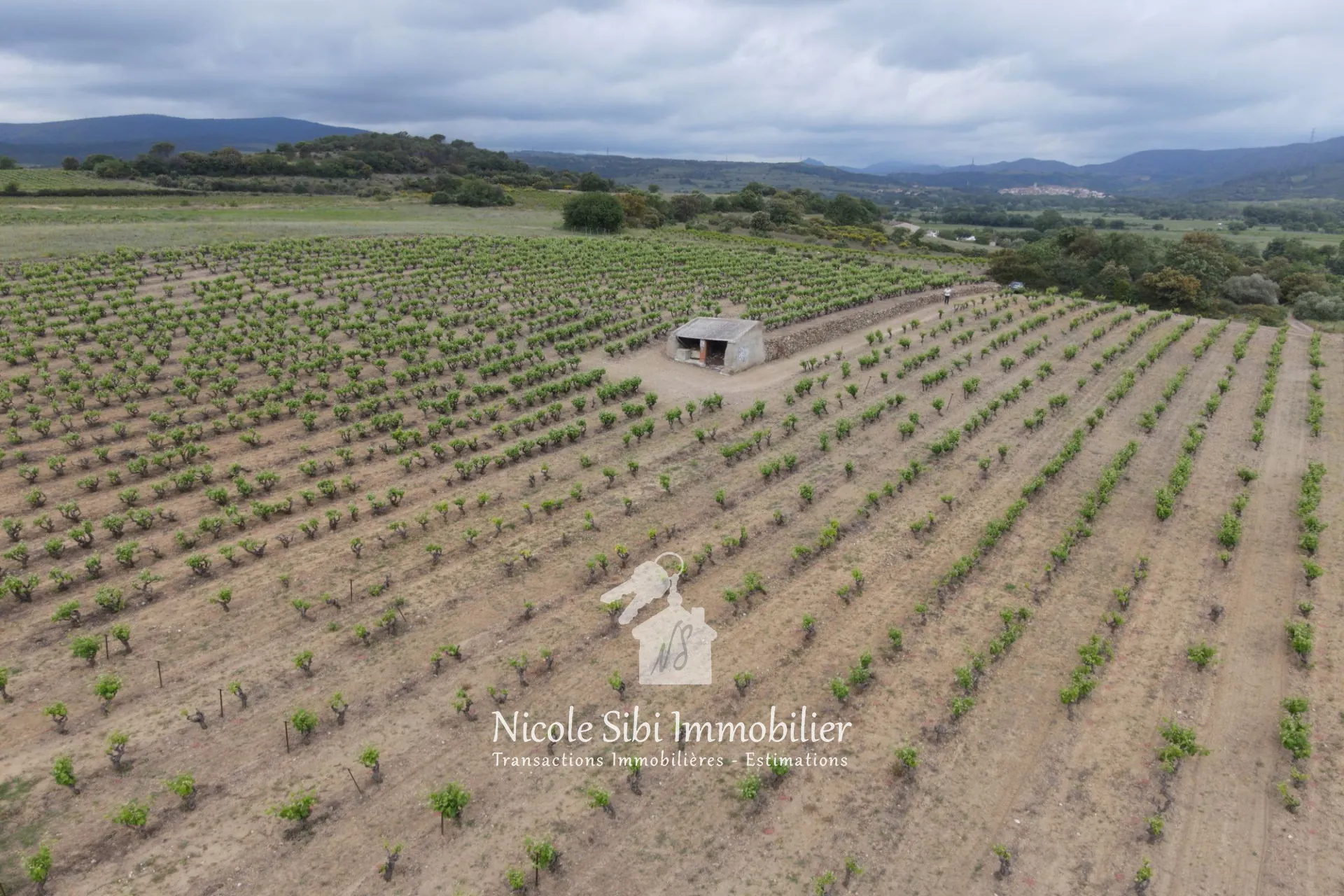 Terrain agricole à vendre à Estagel – 12 683 m² au prix de 19 500 €