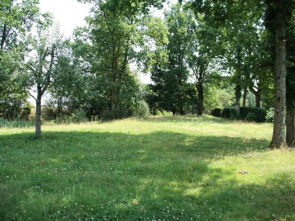 Terrain constructible viabilisé à Sainte-Eulalie - Opportunité à saisir