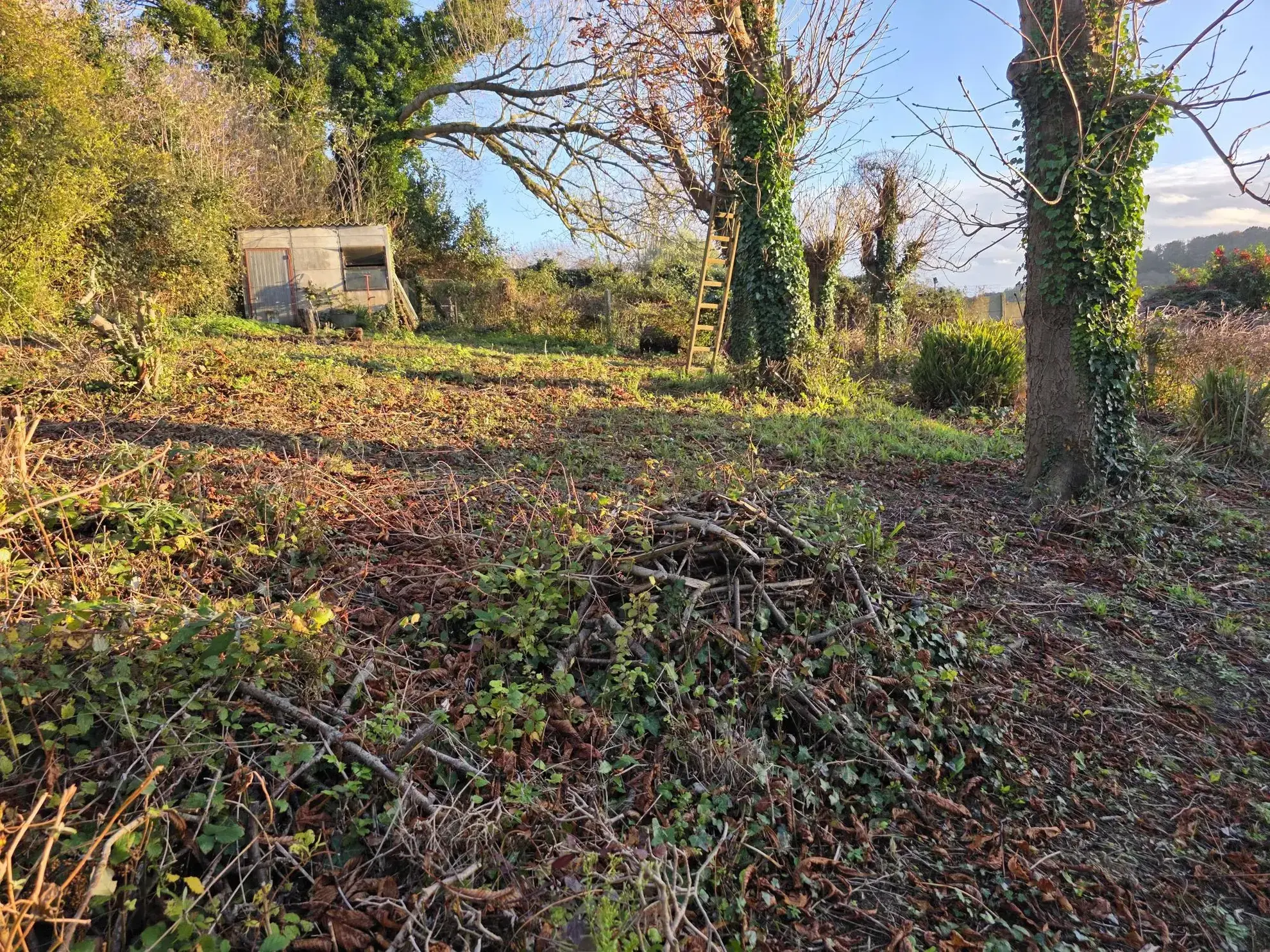 Parcelle de terrain à bâtir de 1000 m² à Fécamp avec vue dégagée
