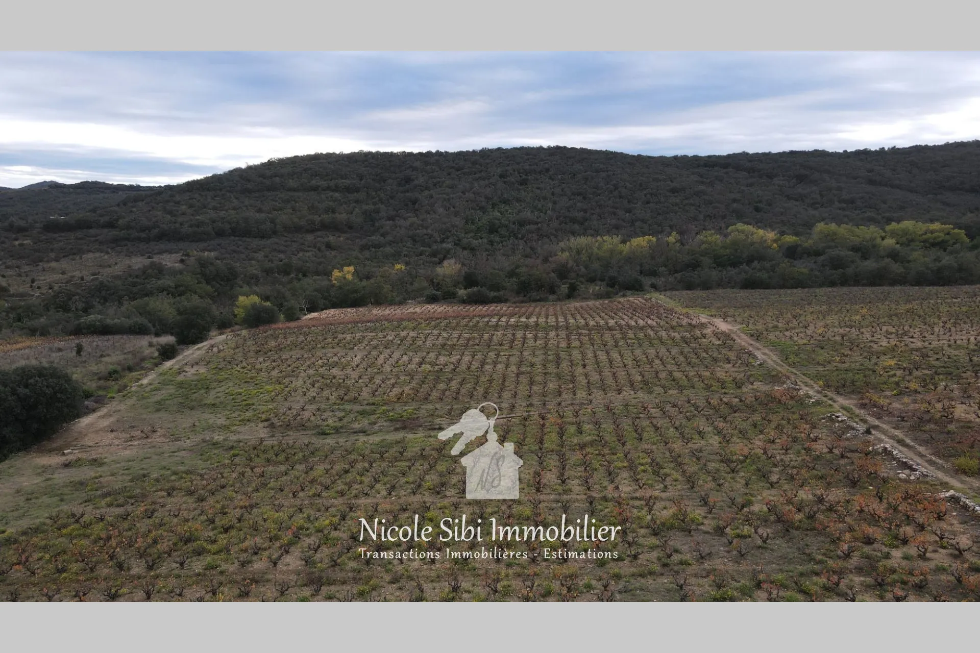 Achat Terrain Agricole à Lansac - 29 300 m² à Vendre