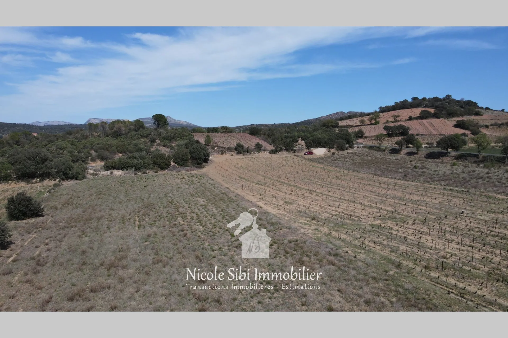 Terrain agricole à vendre à Estagel avec vue sur le Canigou