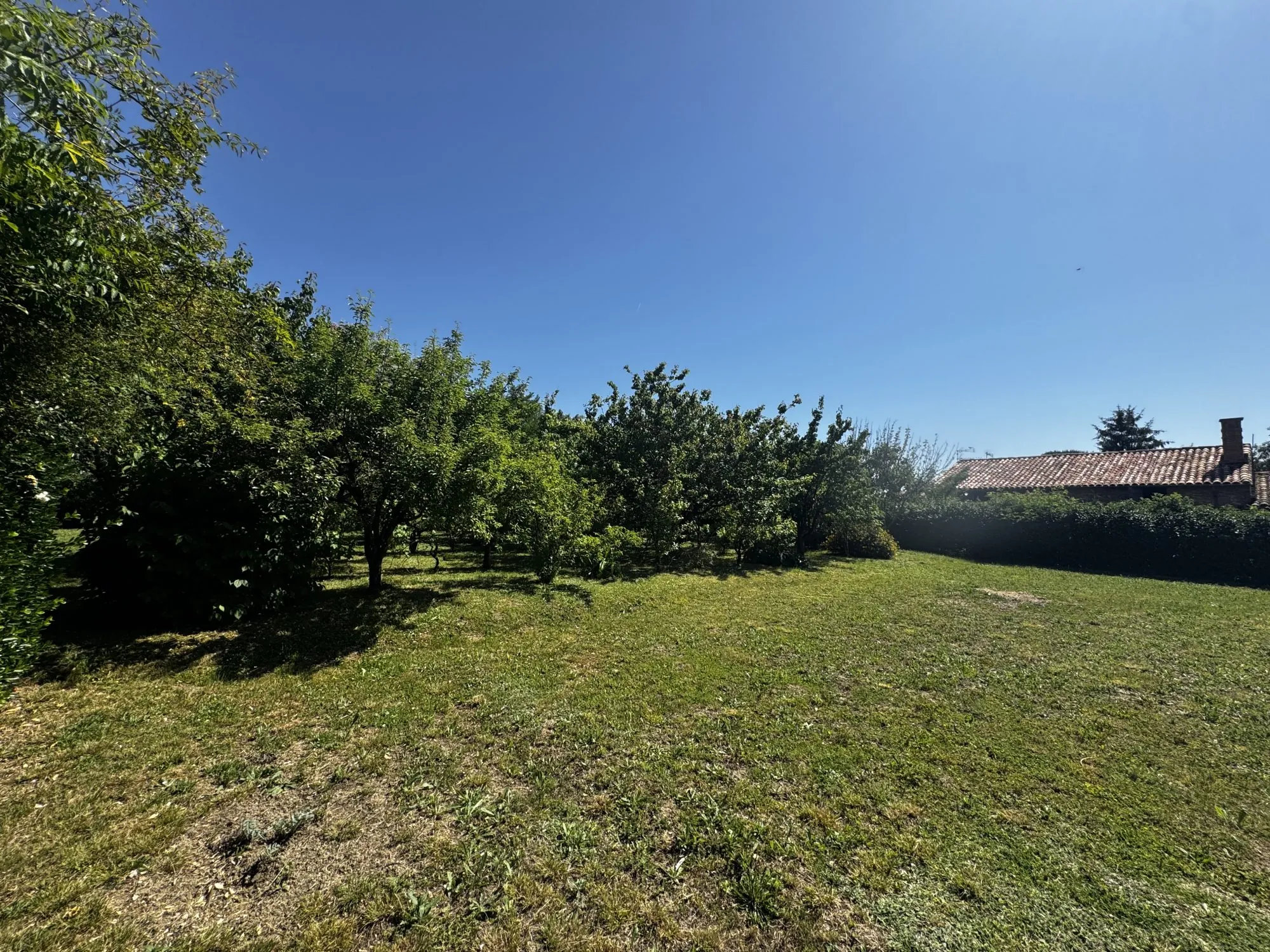 Terrain à vendre à Rouffiac-Tolosan - Opportunité rare dans secteur calme