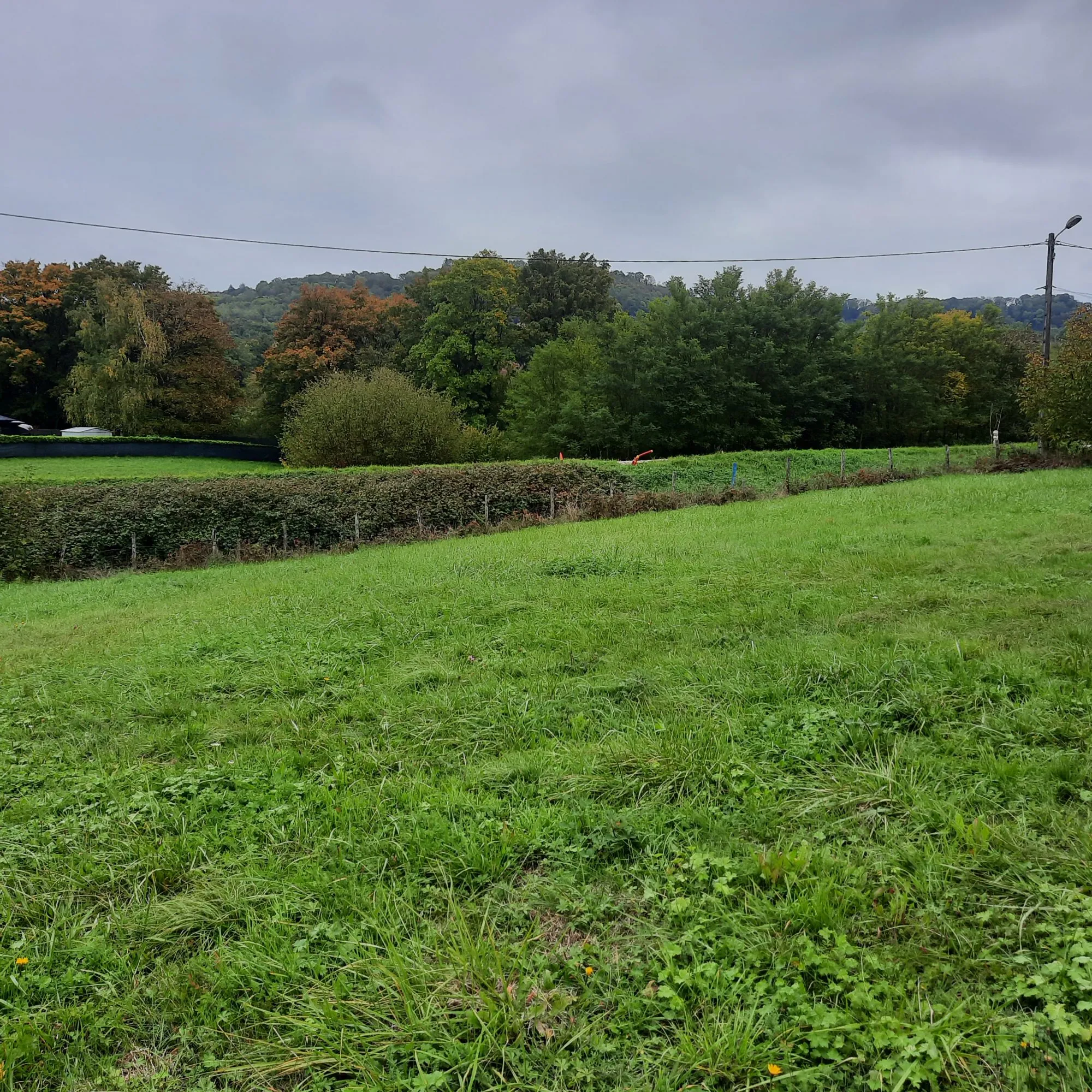 Terrain constructible à Chatillon-le-Duc - Opportunité rare pour votre projet immobilier