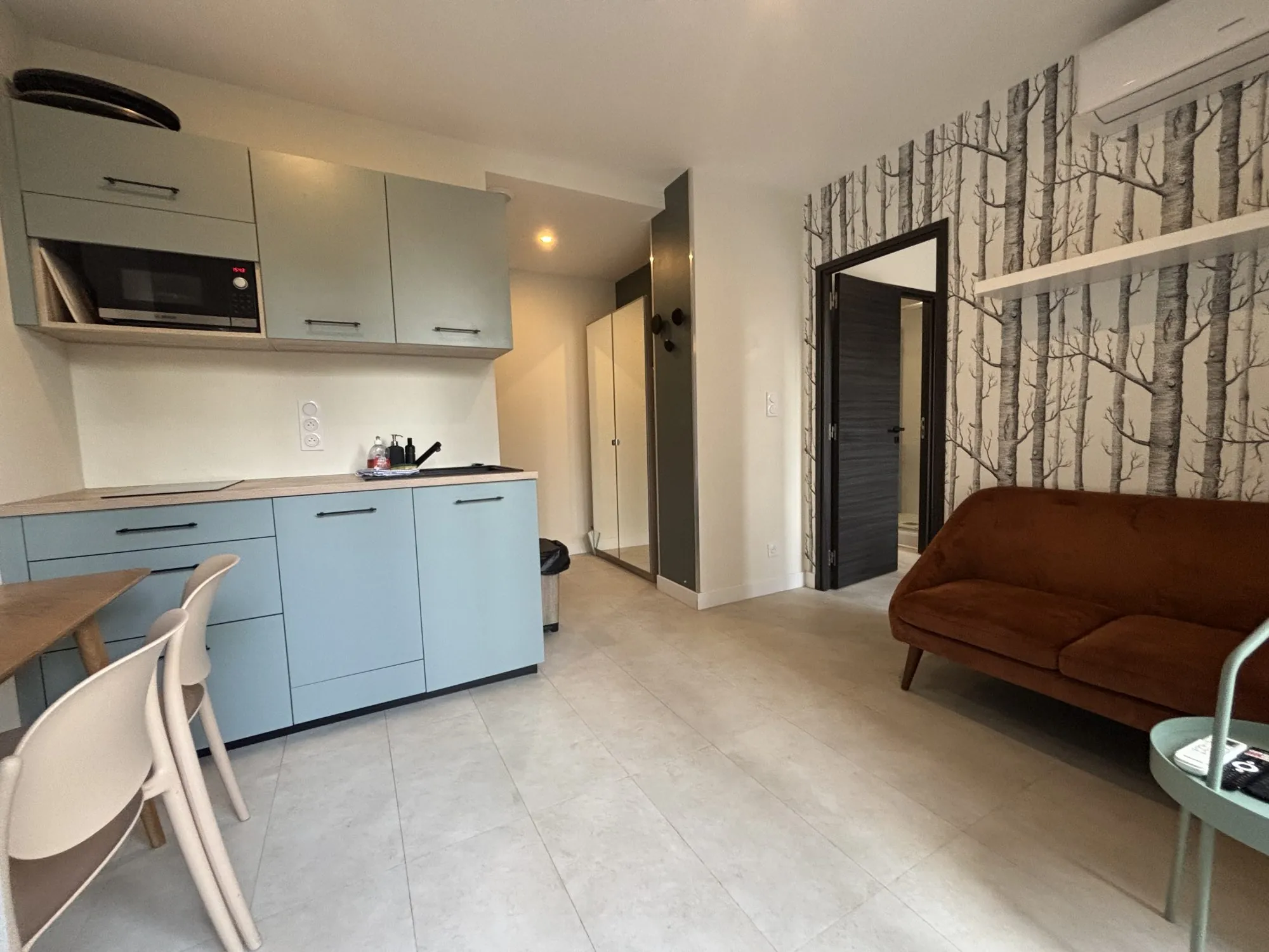 Appartement T2 rénové et climatisé avec balcon à Grenoble