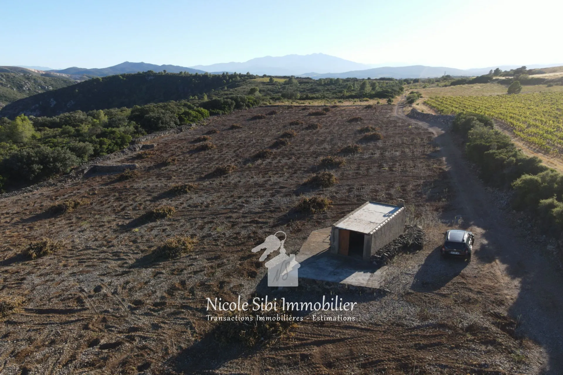 Terrain agricole à Tautavel de 15 030 m² avec cabanon et potentiel d'exploitation
