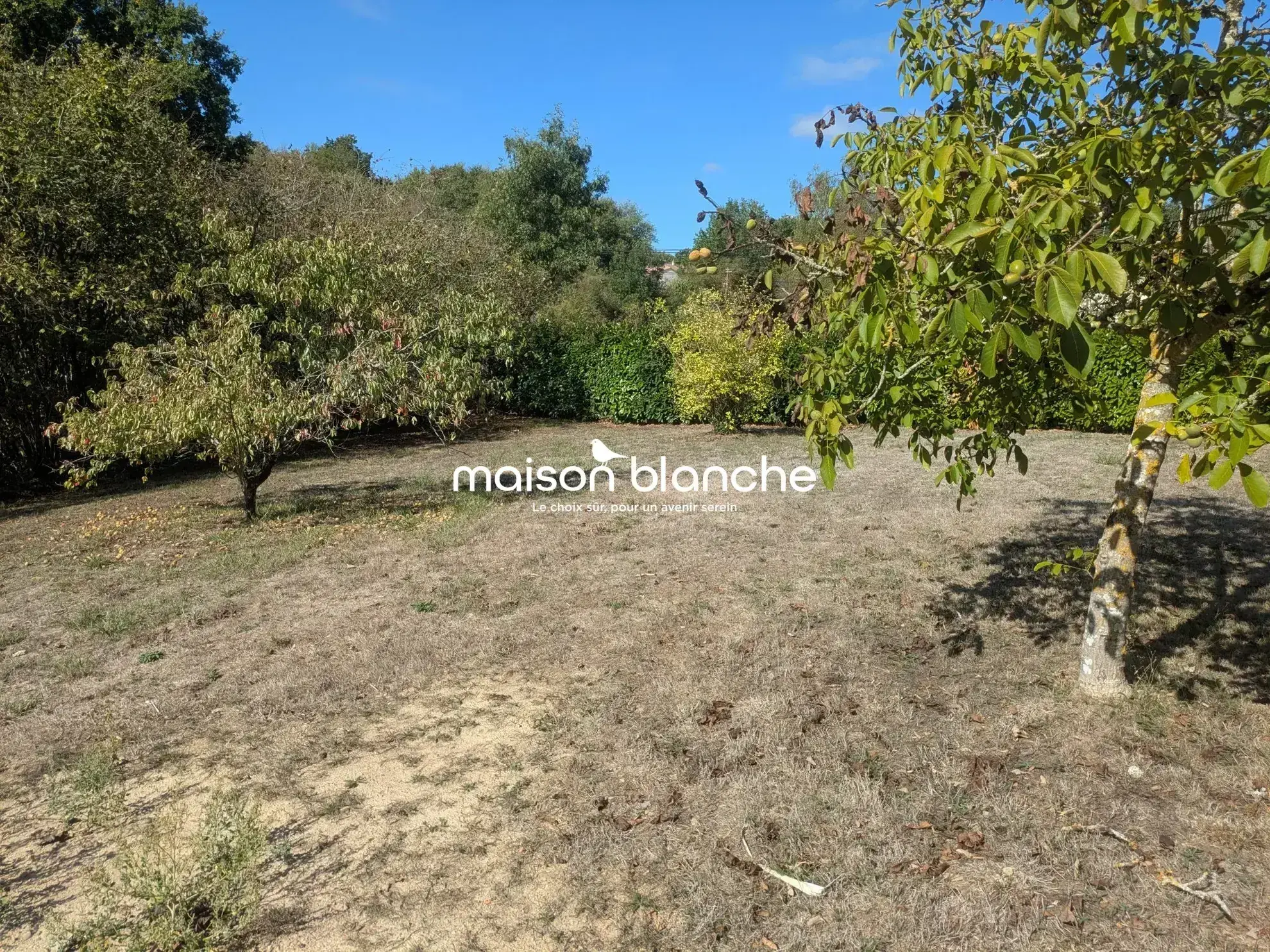 Terrain à vendre à Chaillé-sous-les-Ormeaux – Vue nature, viabilisé de 800 m²