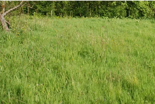Terrain à bâtir de 391 m² à Fecamp avec permis de construire accordé