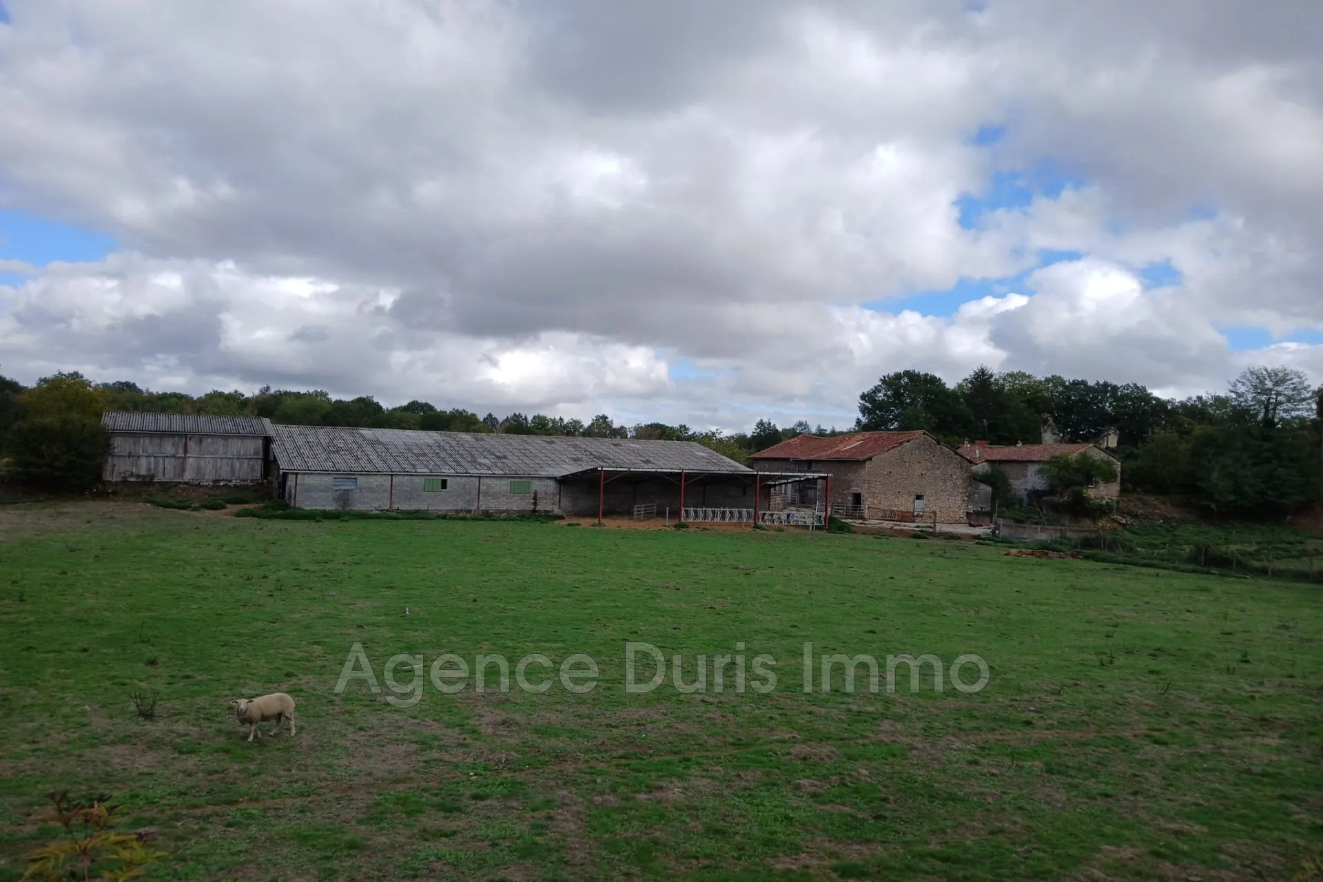 Propriété avec Château historique, 33 ha, maisons et dépendances à rénover en Haute Vienne