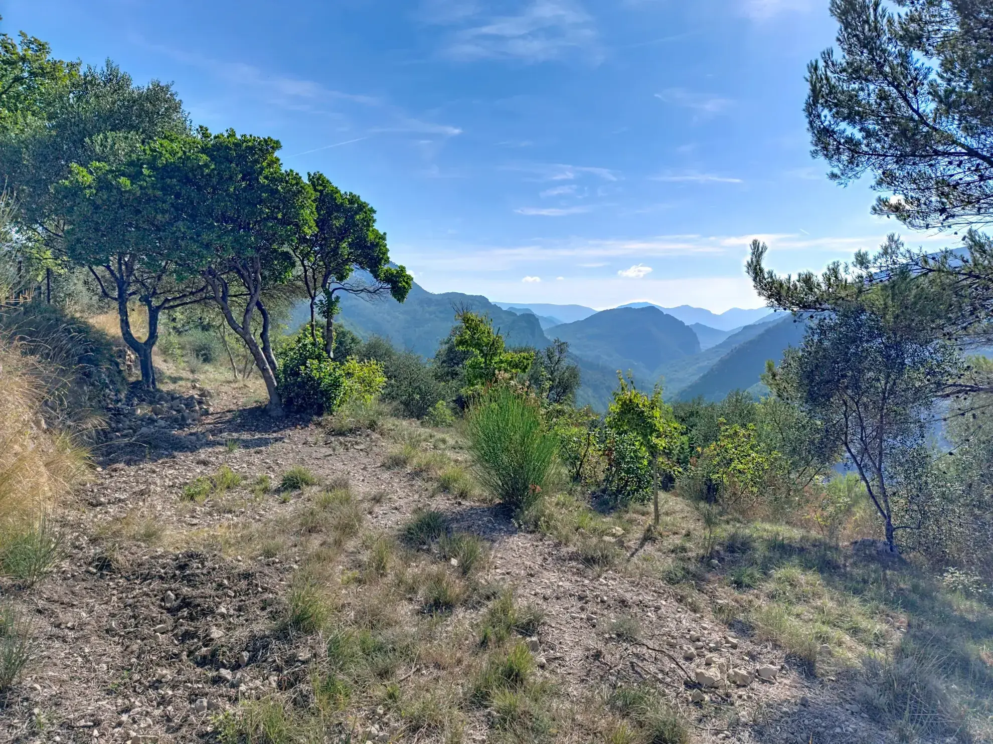 Terrain constructible de 1562 m² à Pierrefeu avec permis et vue sur montagnes