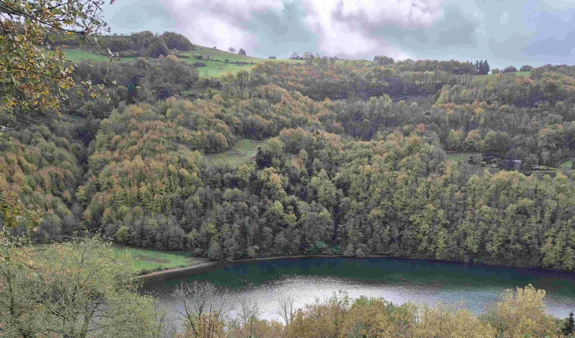 Terrain Boisé de 2498 m² avec Vue sur le Tarn à Requista