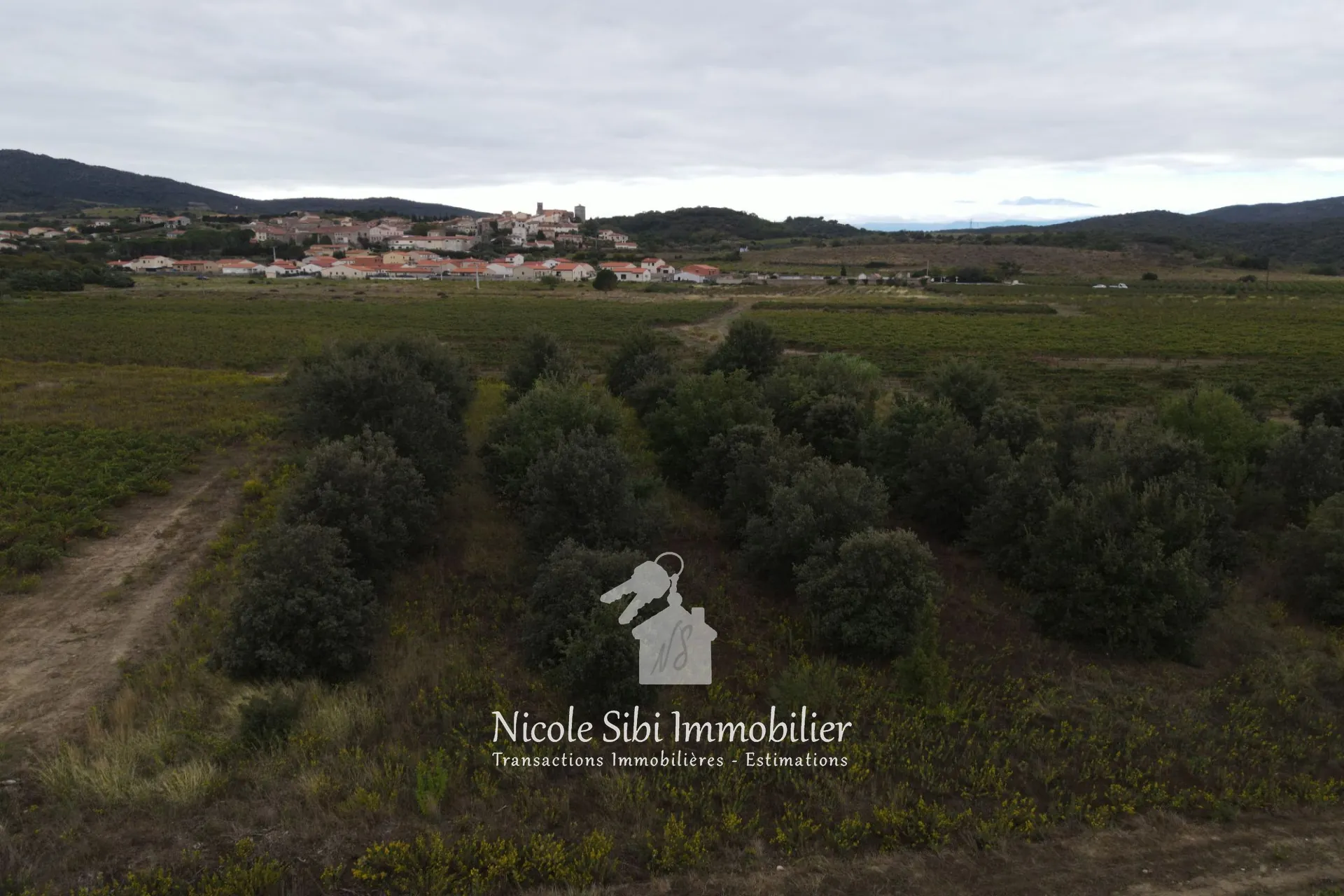 Terrain agricole de 7 102 m² avec chênes truffiers à Montner