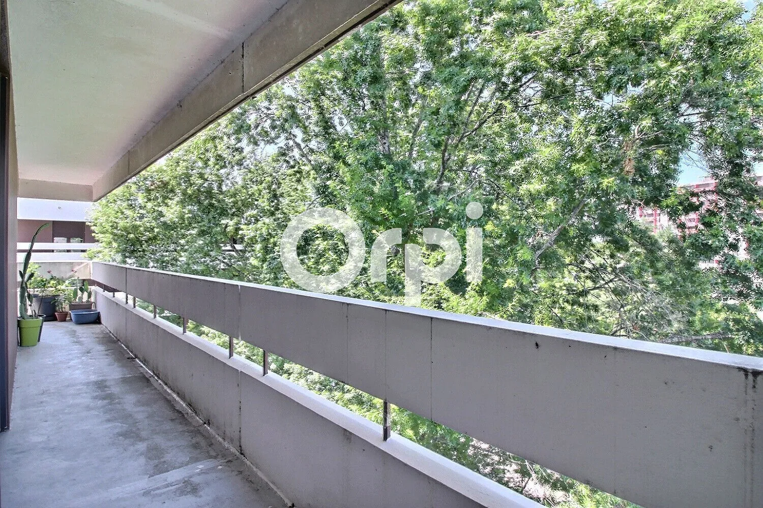 Appartement T2 rénové avec terrasse à Pau Marzet - Dernier étage, proche commodités
