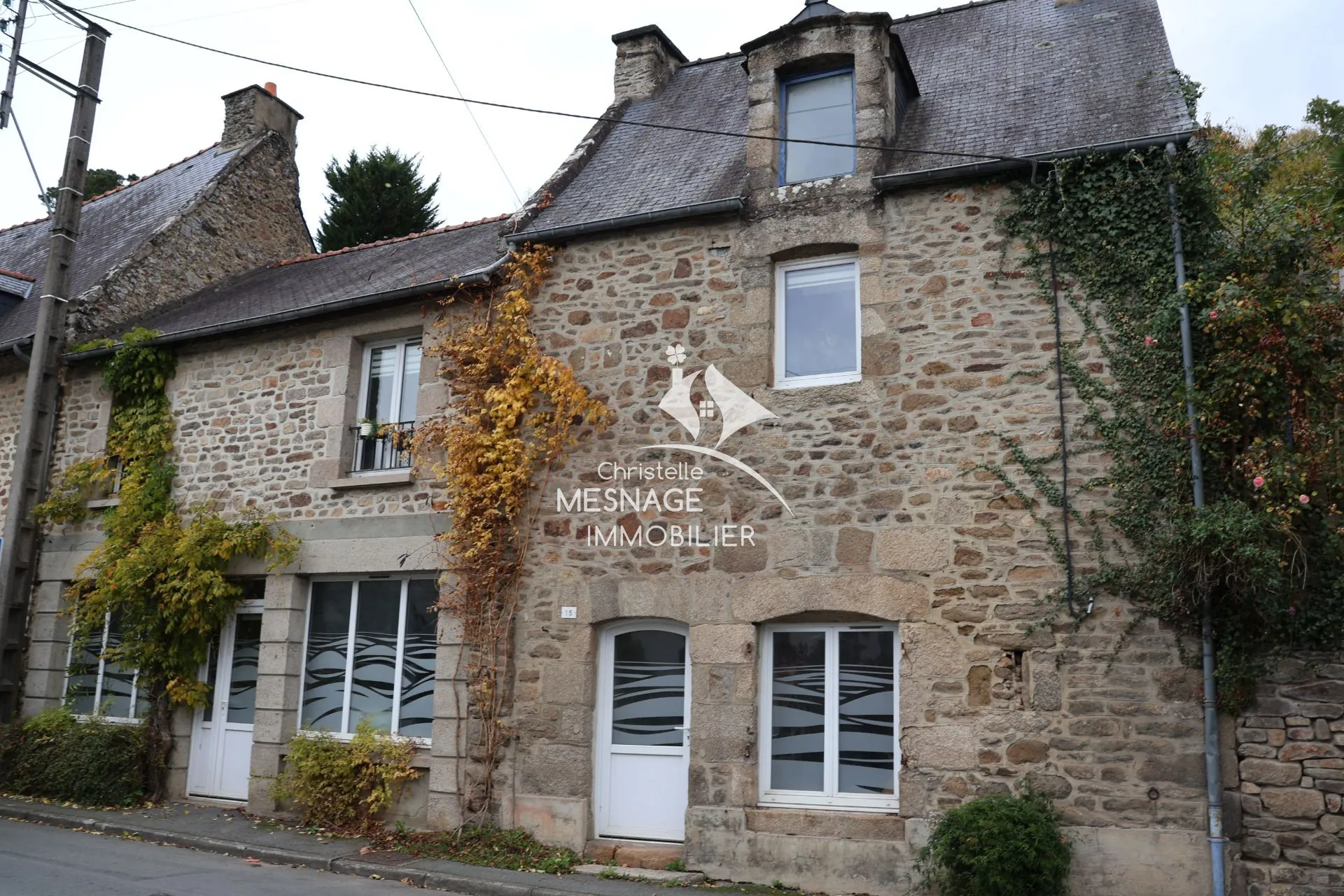 Charmante maison en pierre avec grand terrain à Dinan, idéal investissement ou profession libérale