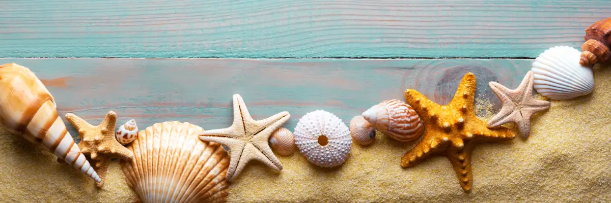 Biens immobiliers en Méditerranée